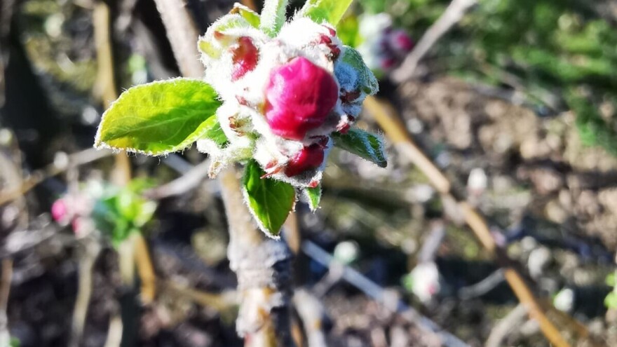 U nedjelju možemo očekivati i snijeg