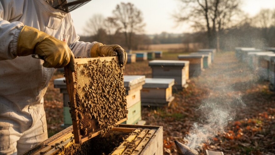 Pripremite zimsku ispašu za pčele!