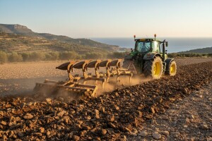 Pripremom terena do brzog razvoja masline