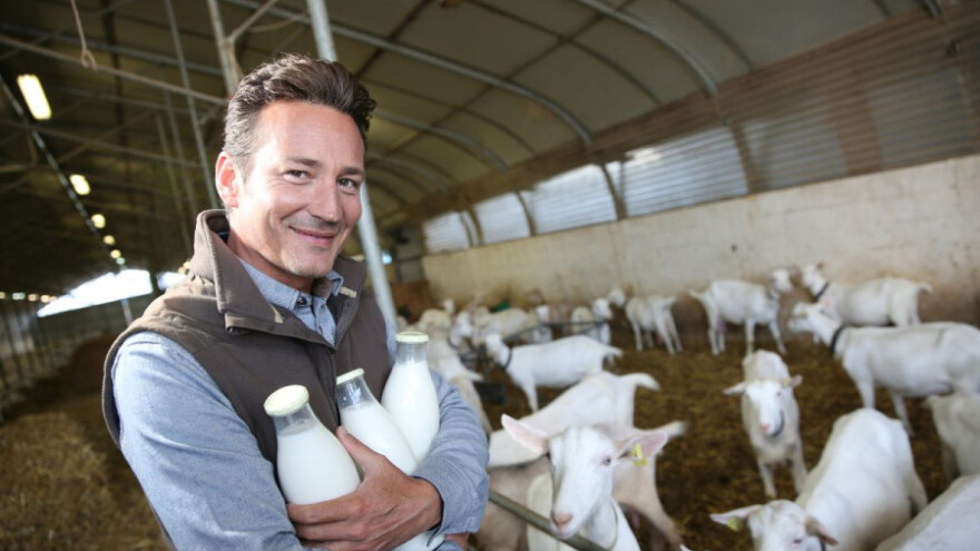 U 2016. proizvodnja koza porasla za 100,4%!