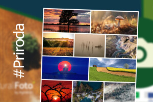 RuralFoto - ovo je TOP 10 fotografija iz kategorije #priroda