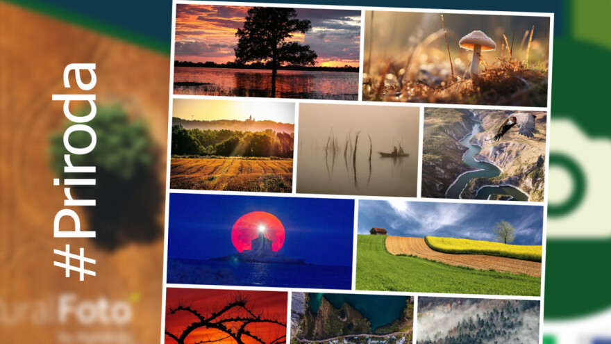 RuralFoto - ovo je TOP 10 fotografija iz kategorije #priroda
