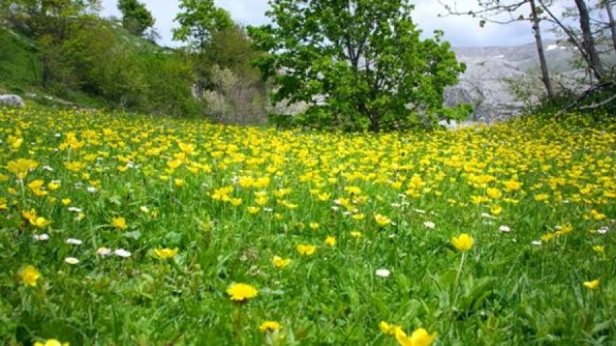 Unija daje 150 milijuna eura za zaštitu okoliša