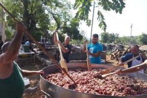 Najstariji narodni kolač ima i svoj festival - Prisnac fest