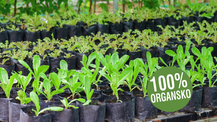 Jesenska gnojidba u ekološkoj proizvodnji