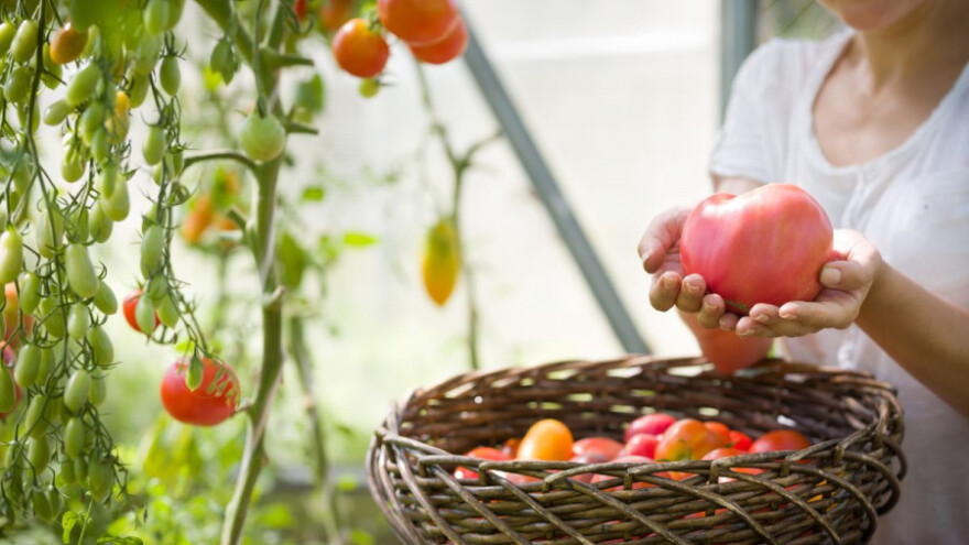 Eko dušična gnojiva s otpuštanjem hraniva do 180 dana!