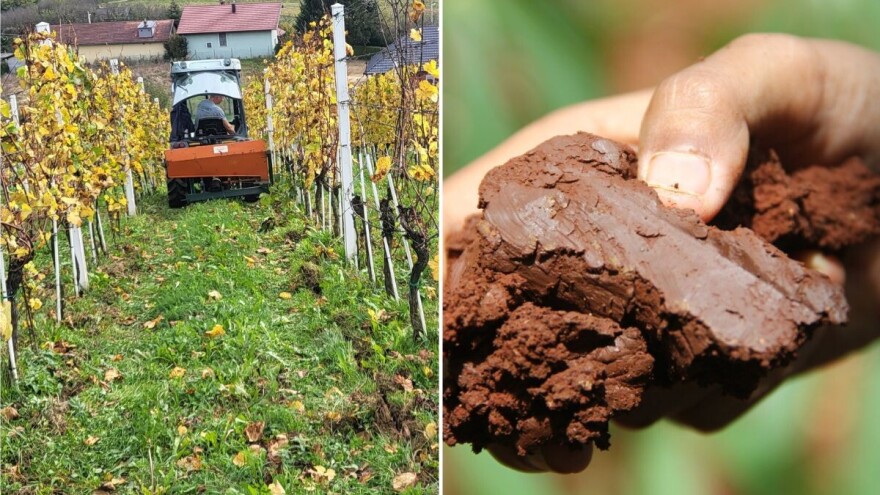 Tlo je sve kiselije i siromašnije humusom -  što možemo učiniti?