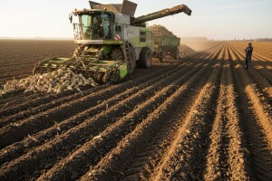 Problema ima - ali uvijek se sije