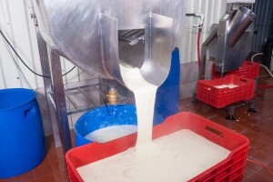 Višak zaliha mlijeka - traže se nova tržišta