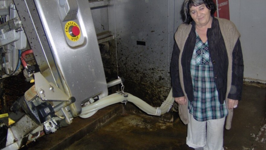 Vlasnica najmodernije farme u Koruškoj je Hrvatica