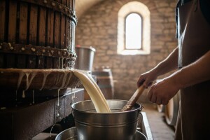 Proces prerade bijelog grožđa