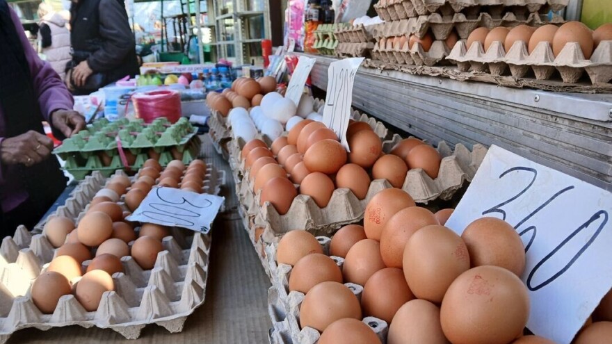 Koje su cene jaja pred Uskrs?