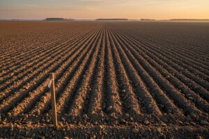 Prodaja državnog zemljišta u Kutjevu i općini Marčana