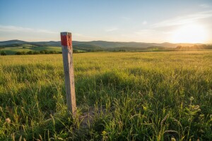 Prodaja poljoprivrednog zemljišta Općine Plaški