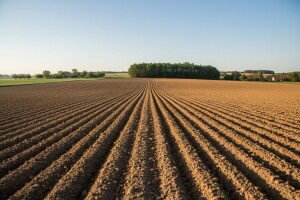 Prodaja poljoprivrednog zemljišta u Čazmi