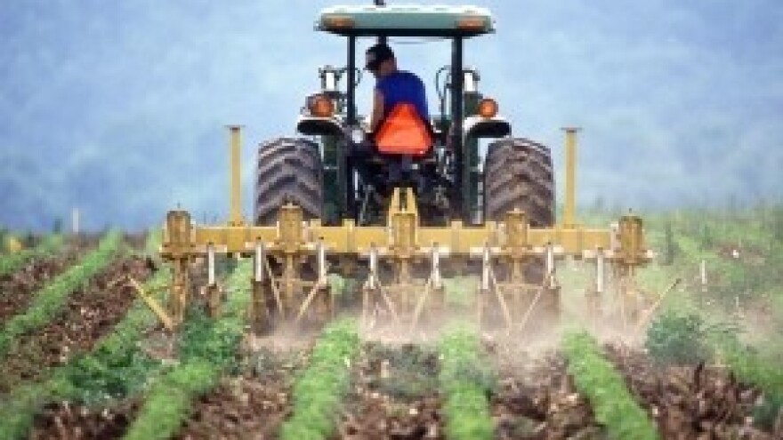 Prodaja zemljišta Općine Sveti Ivan Žabno