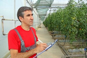 Pad prodaje poljoprivrednih proizvoda