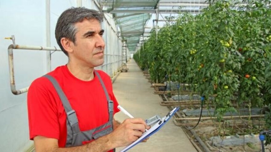 Pad prodaje poljoprivrednih proizvoda