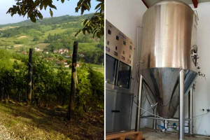 Prodaje vinograd, šumu daje gratis: Ovo su najatraktivnije ponude iz Oglasnika?
