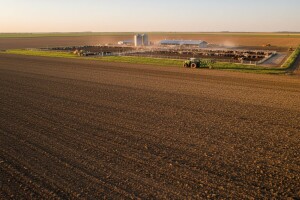 Prodat Dijamant agrar!