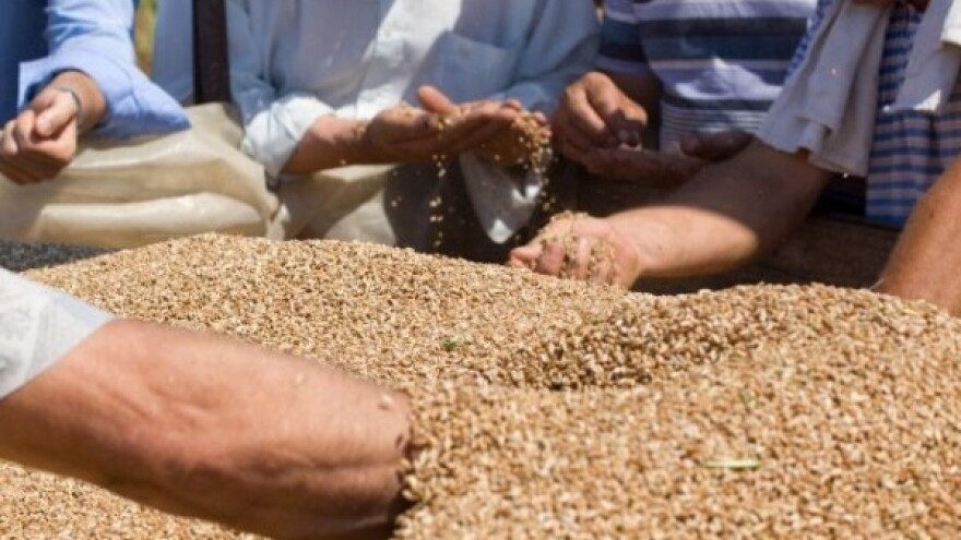 Izvozni potencijal postoji ali je trgovanje slabo