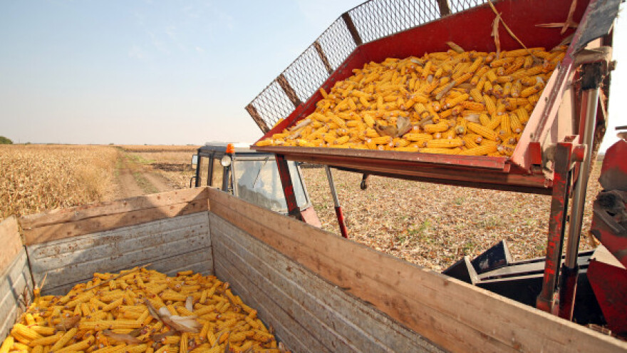 Berzanski pogled na proteklu godinu