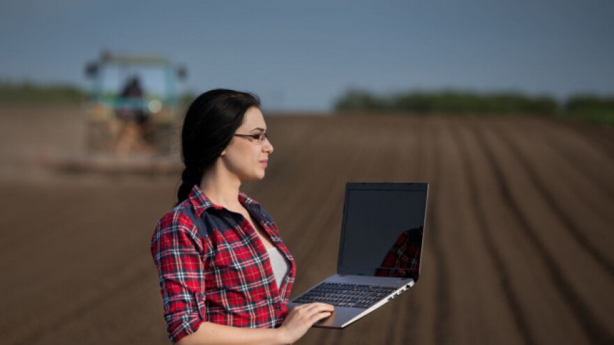 Cena kukuruza nastavila pad