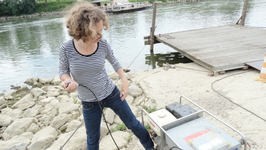 Sve veća opasnost od invazivnih vrsta ribe