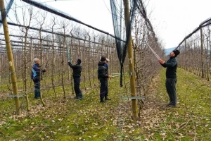 Od ponedeljka osetno hladnije