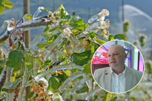 Profesor Stanisavljević: Znanje je najbolji sustav zaštite od mraza
