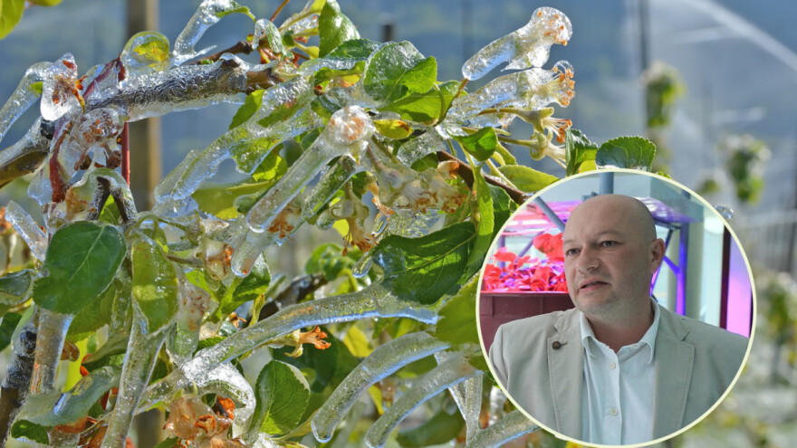 Profesor Stanisavljević: Znanje je najbolji sustav zaštite od mraza