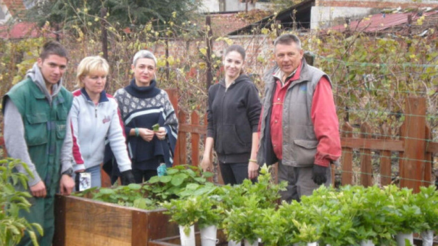 Zrenjanin: bio bašta na radost đaka