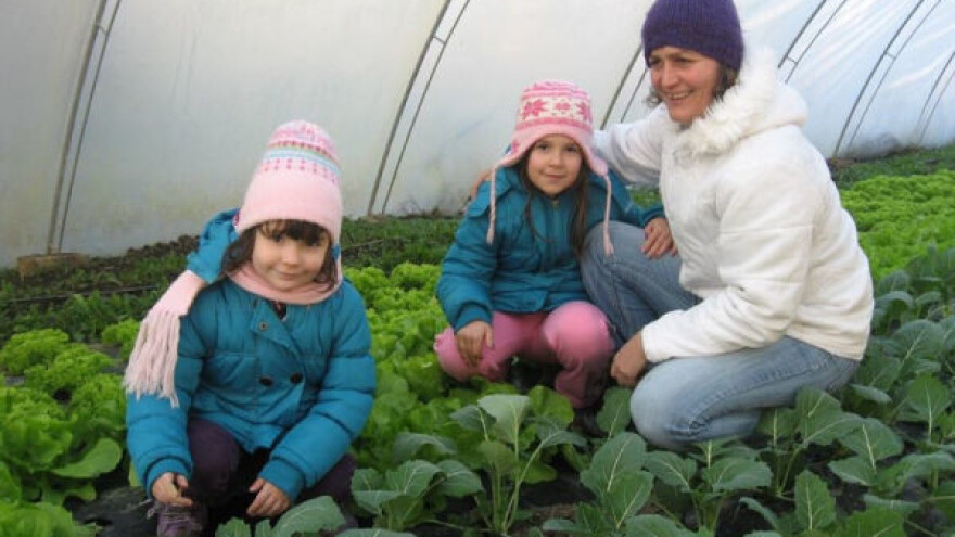 Organska proizvodnja profesorke istorije