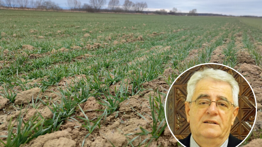 Ratarske kulture uskoro bi mogle trpjeti od suše