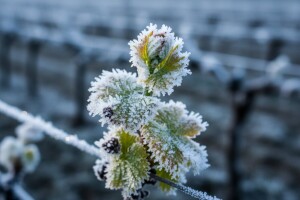 Proglašena elementarna nepogoda za Jastrebarsko i Orle