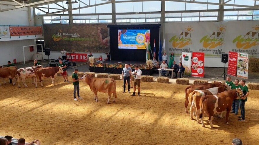 Proglašeni šampioni 30. Državne stočarske izložbe - ovo su najbolja hrvatska grla