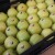 WAPA: Prognoziran bolji rod jabuka i krušaka uprkos suši