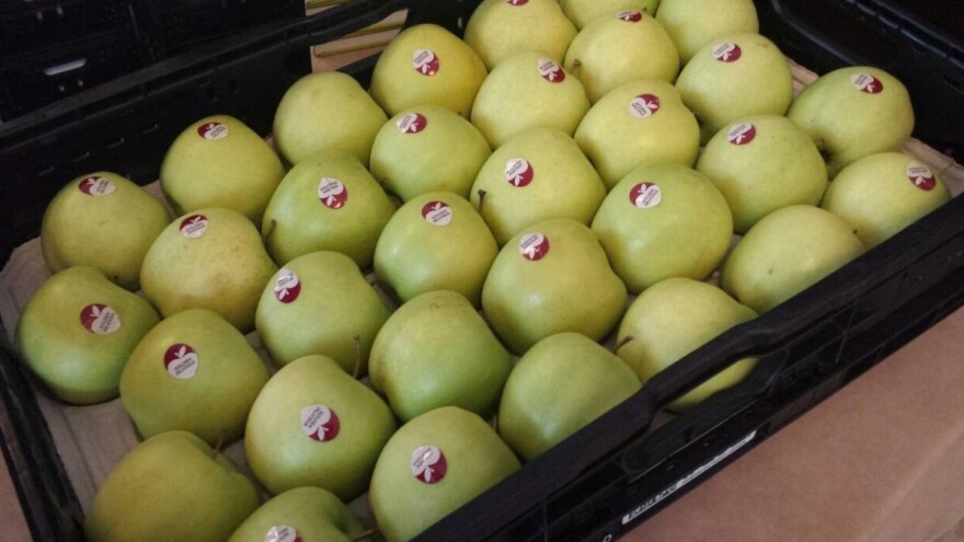 WAPA: Prognoziran bolji rod jabuka i krušaka uprkos suši