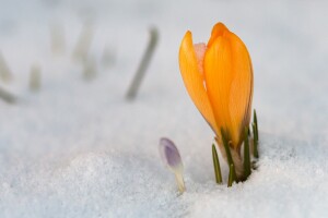 Sunce i toplina dolaze s 8. martom