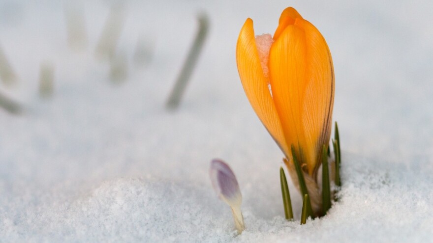 Sunce i toplina dolaze s 8. martom