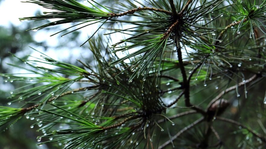 Kišni vikend s olujnim udarima vjetra