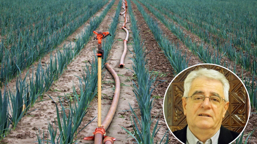 Ljeto je službeno počelo, a kakvo nam vrijeme donosi?