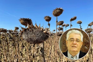 Kakvo nas vrijeme čeka u narednim danima i kako će se odraziti na zriobu?