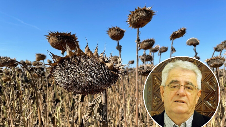 Kakvo nas vrijeme čeka u narednim danima i kako će se odraziti na zriobu?