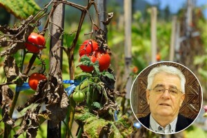 Nema promjene - sve tegobe koje nam donose vrući dani se nastavljaju