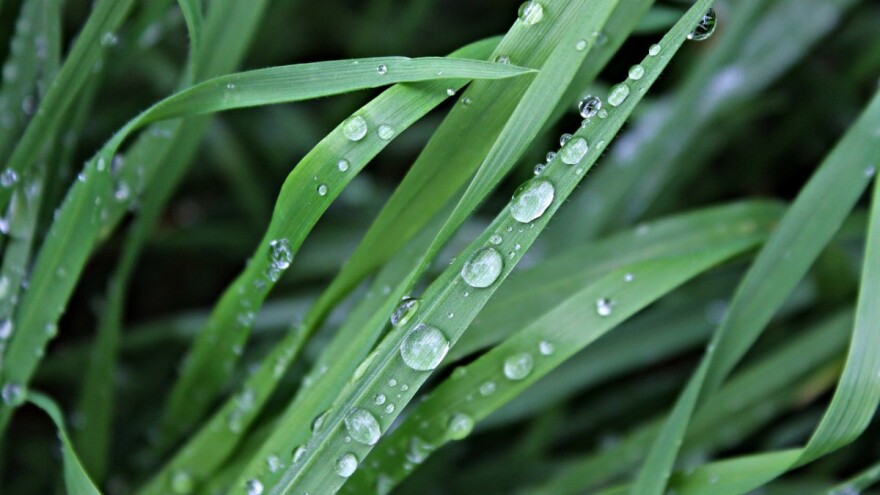 Oblačno s kišom, moguća i susnježica