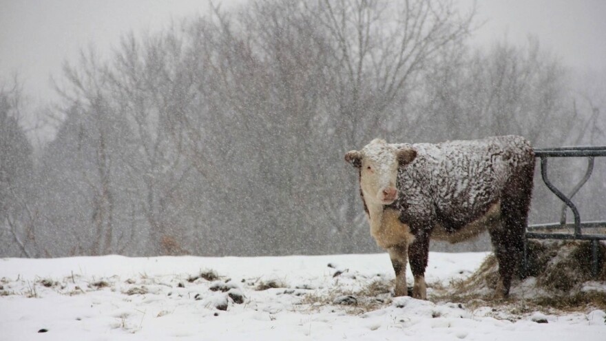 Snijeg će padati čitave sedmice, na istoku i do 30 cm