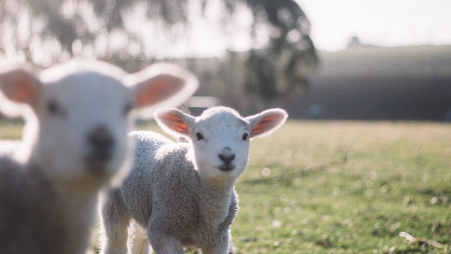 Razvedravanje u nedjelju, kiša u ponedjeljak