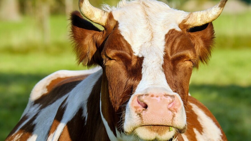 Za vikend nam stiže ljeto!