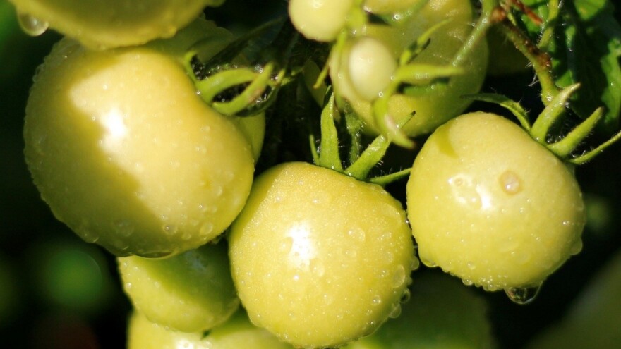 Vikend obavijen oblacima, grmljavinom, pljuskovima i visokom temperaturom